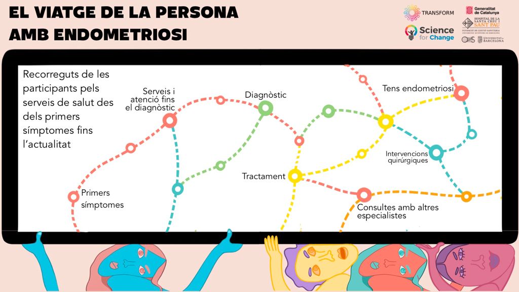 De la ciencia ciudadana a la política pública: el éxito del proyecto TRANSFORM en la endometriosis