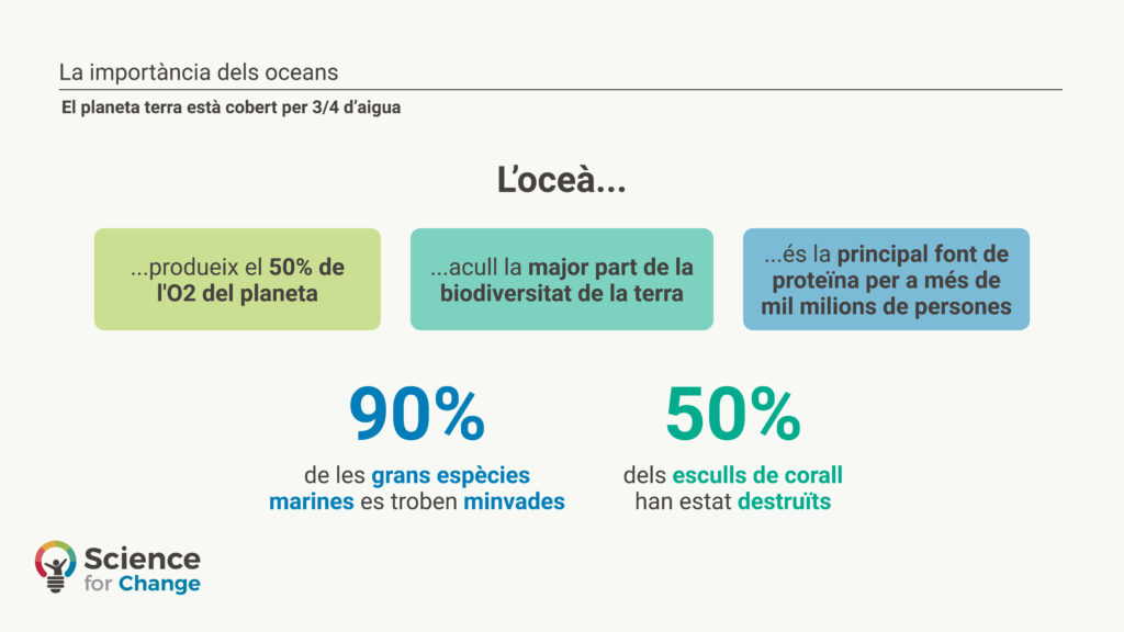 La ciencia ciudadana: una pieza clave para la conservación marina